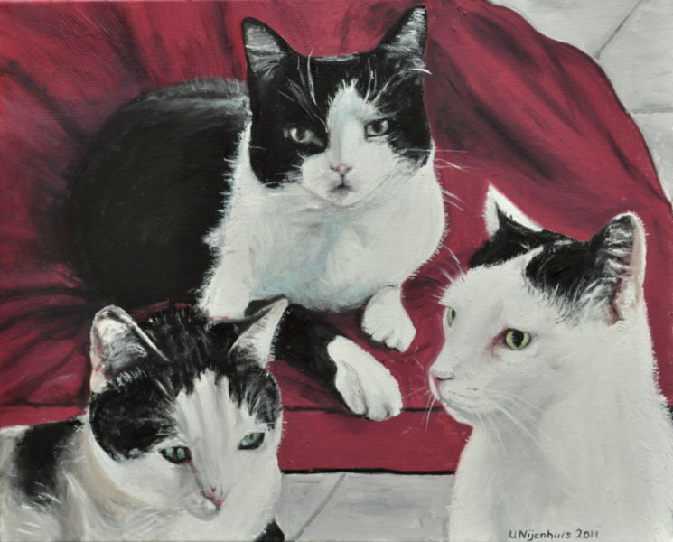 Drei Katzen, Gemälde